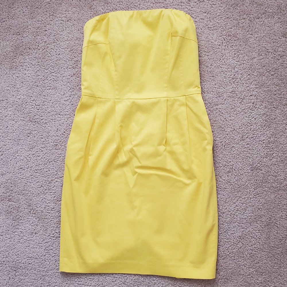 Express strapless dress